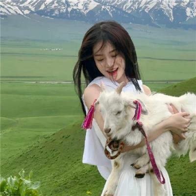 阿尔迪克